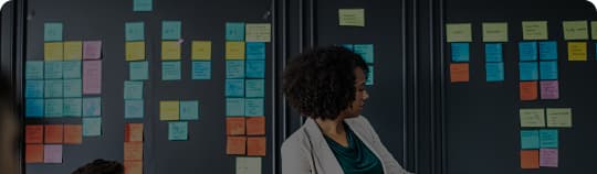 Agile Consulting